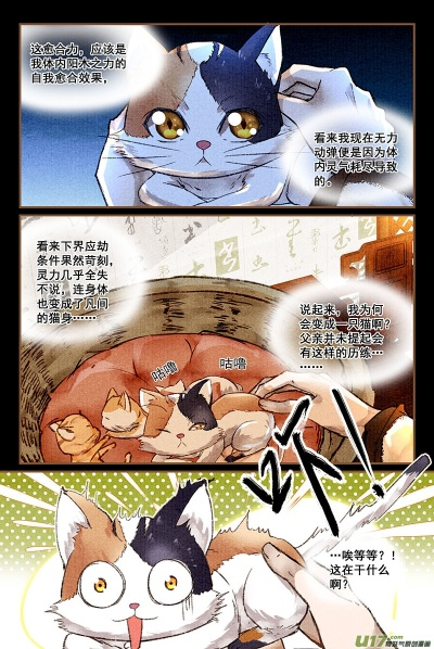 午夜缅因猫我的饲主竟是命中注定（66集）白龙＆王之遥