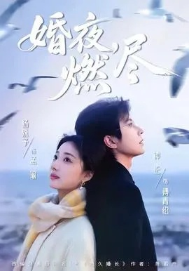 婚夜，燃尽（72集）卡戎＆林秋奈